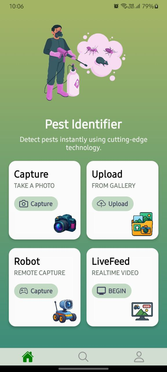 Pest Identification